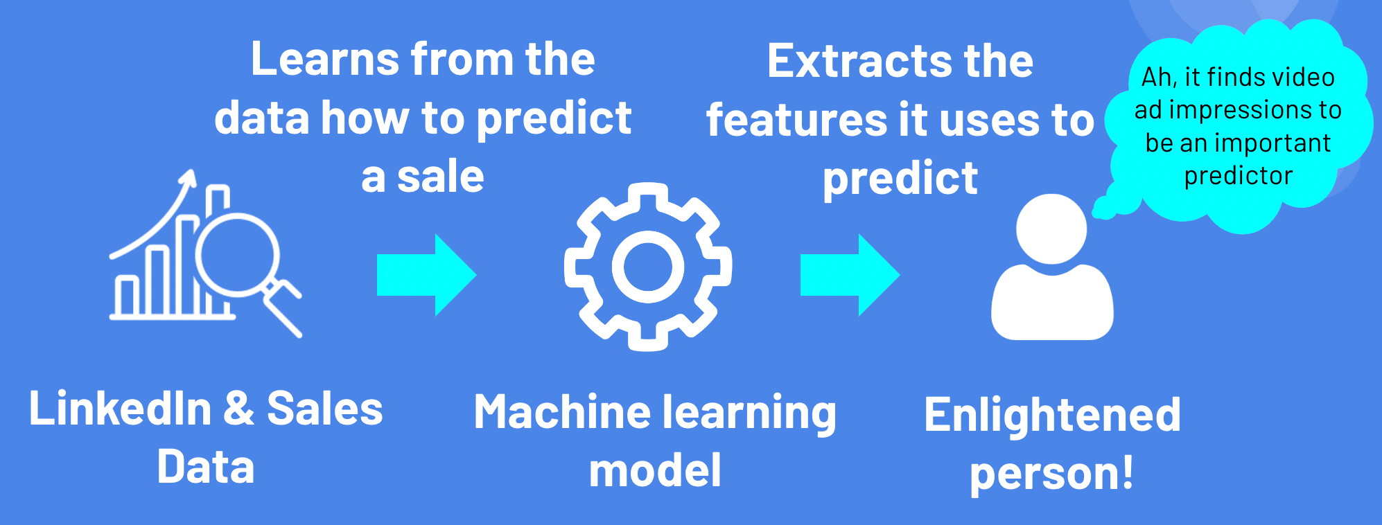 How machine learning can help you understand data with feature importance